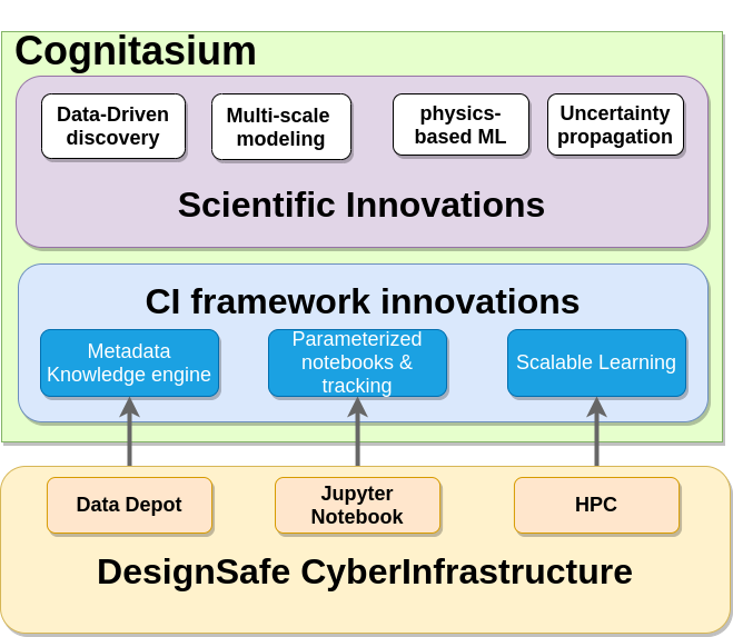 NSF Cognitasium