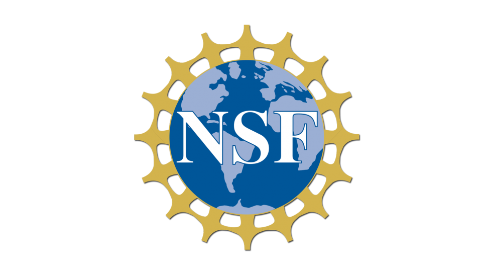 NSF CAREER Award